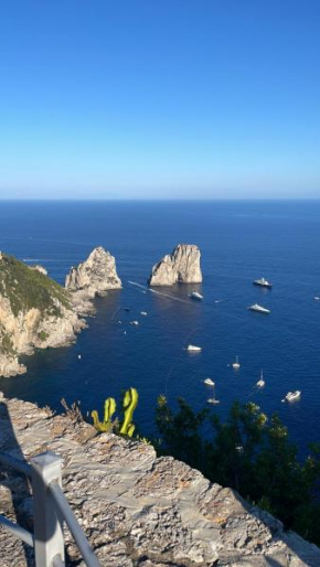 Il Merlo Capri Capri